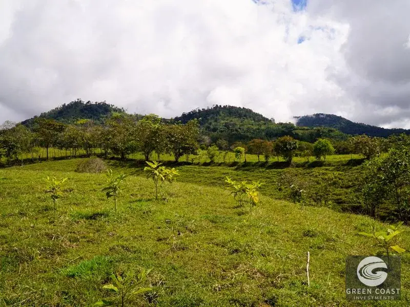 45-Acre Riverfront Farm with Scenic Cabin and Endless Building Sites in Perez Zeledon — view 14, Perez Zeledon, Costa Rica