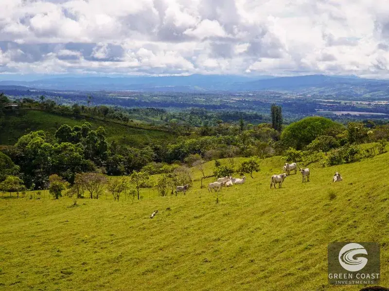 45-Acre Riverfront Farm with Scenic Cabin and Endless Building Sites in Perez Zeledon — view 18, Perez Zeledon, Costa Rica