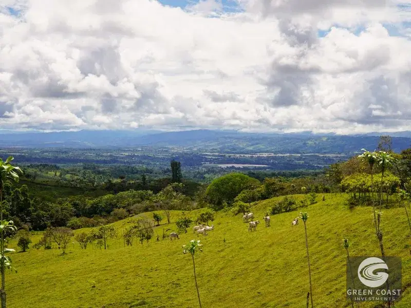 45-Acre Riverfront Farm with Scenic Cabin and Endless Building Sites in Perez Zeledon — view 20, Perez Zeledon, Costa Rica