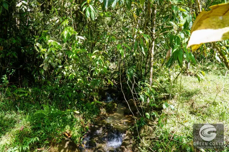 45-Acre Riverfront Farm with Scenic Cabin and Endless Building Sites in Perez Zeledon — view 44, Perez Zeledon, Costa Rica