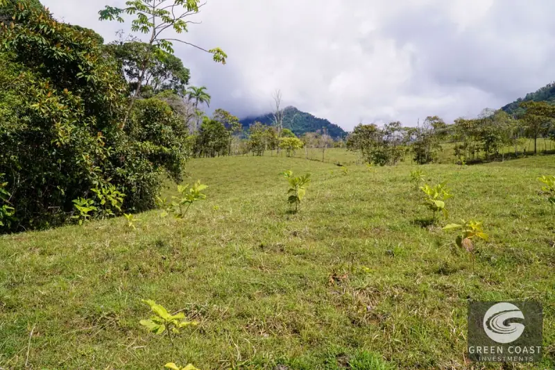 45-Acre Riverfront Farm with Scenic Cabin and Endless Building Sites in Perez Zeledon — view 45, Perez Zeledon, Costa Rica