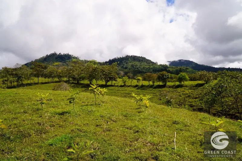 45-Acre Riverfront Farm with Scenic Cabin and Endless Building Sites in Perez Zeledon — view 47, Perez Zeledon, Costa Rica