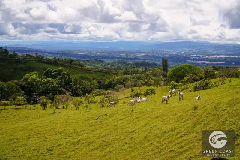 45-Acre Riverfront Farm with Scenic Cabin and Endless Building Sites in Perez Zeledon — view 51, Perez Zeledon, Costa Rica