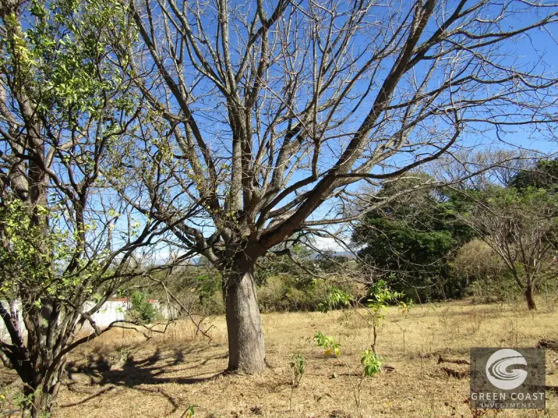 Prime 7,056 m² Development Lot in Santa Ana – Ideal for Luxury Condos or Gated Community — view 40, Santa Ana, Costa Rica