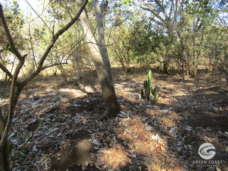 Prime 7,056 m² Development Lot in Santa Ana – Ideal for Luxury Condos or Gated Community — view 42, Santa Ana, Costa Rica