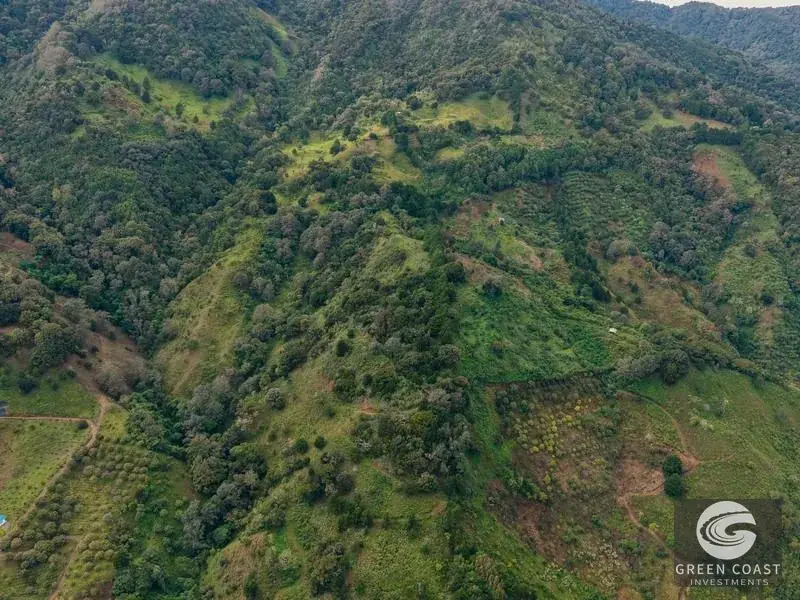 Expansive Dota Farm with Avocado Orchards, Fishing Ponds, and Scenic Views — view 6, Dota, Costa Rica