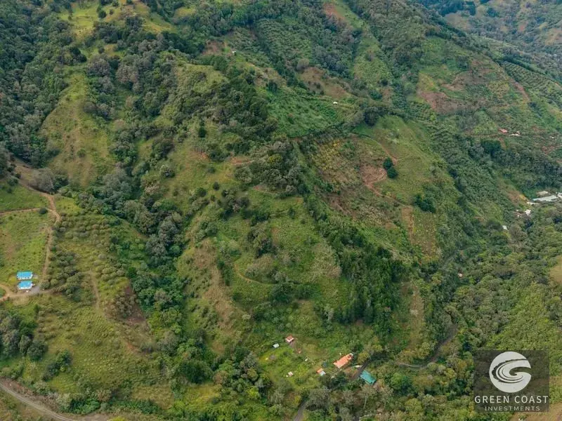 Expansive Dota Farm with Avocado Orchards, Fishing Ponds, and Scenic Views — view 13, Dota, Costa Rica