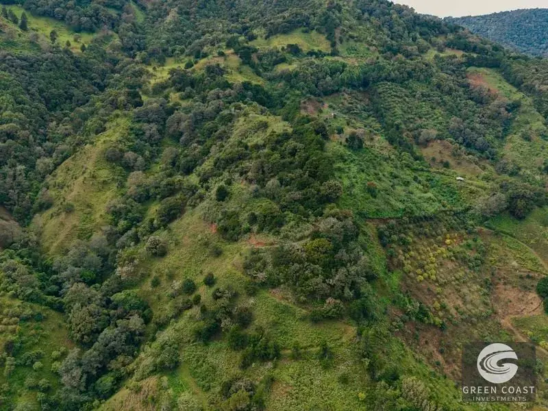 Expansive Dota Farm with Avocado Orchards, Fishing Ponds, and Scenic Views — view 16, Dota, Costa Rica