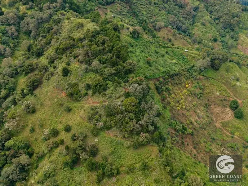 Expansive Dota Farm with Avocado Orchards, Fishing Ponds, and Scenic Views — view 17, Dota, Costa Rica