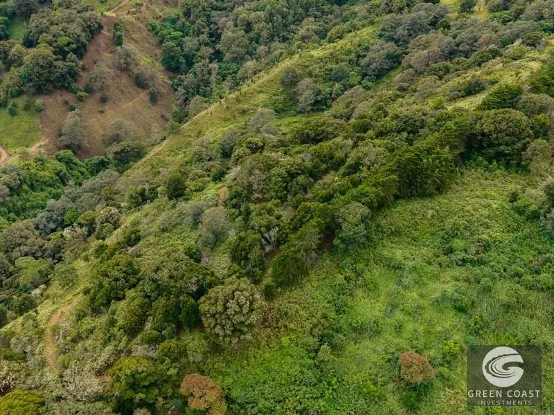 Expansive Dota Farm with Avocado Orchards, Fishing Ponds, and Scenic Views — view 21, Dota, Costa Rica