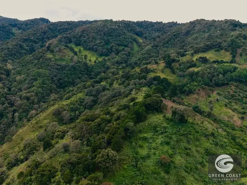 Expansive Dota Farm with Avocado Orchards, Fishing Ponds, and Scenic Views — view 22, Dota, Costa Rica