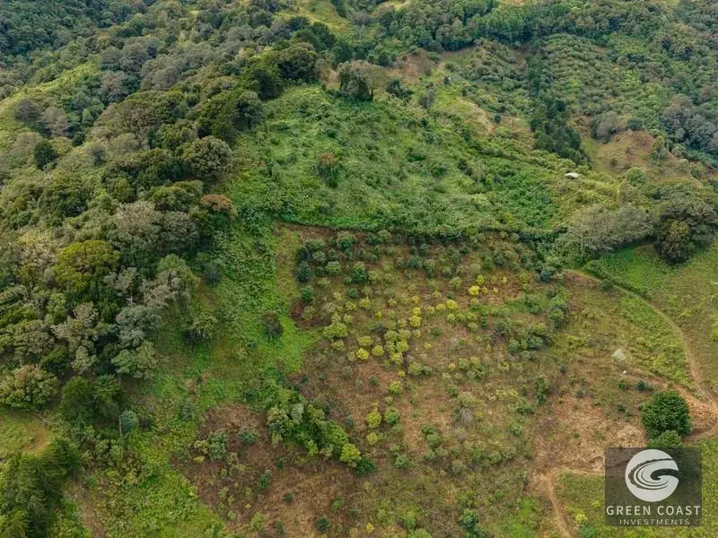 Expansive Dota Farm with Avocado Orchards, Fishing Ponds, and Scenic Views — view 23, Dota, Costa Rica