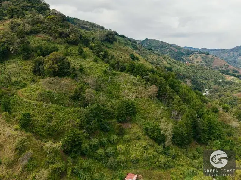 Expansive Dota Farm with Avocado Orchards, Fishing Ponds, and Scenic Views — view 25, Dota, Costa Rica
