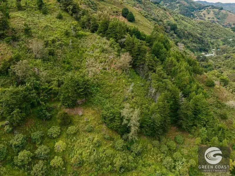 Expansive Dota Farm with Avocado Orchards, Fishing Ponds, and Scenic Views — view 26, Dota, Costa Rica