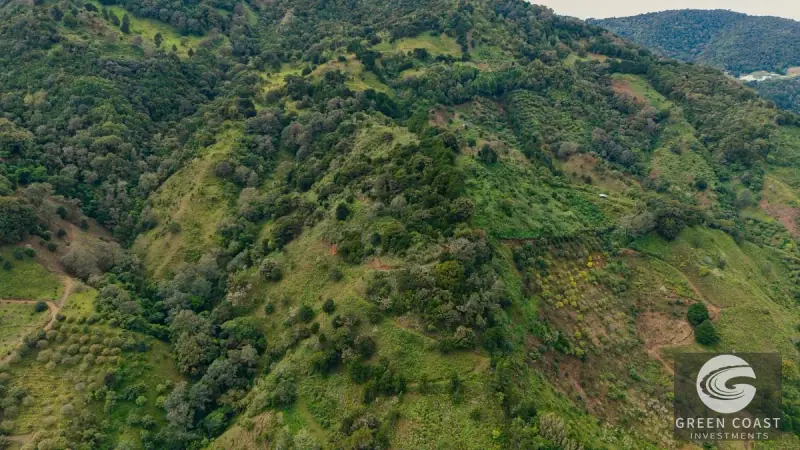 Expansive Dota Farm with Avocado Orchards, Fishing Ponds, and Scenic Views — view 46, Dota, Costa Rica