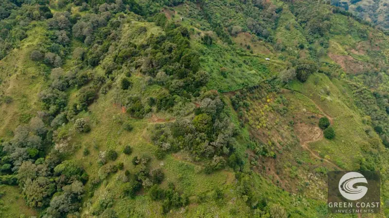 Expansive Dota Farm with Avocado Orchards, Fishing Ponds, and Scenic Views — view 47, Dota, Costa Rica