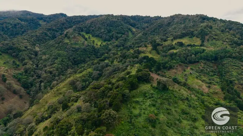 Expansive Dota Farm with Avocado Orchards, Fishing Ponds, and Scenic Views — view 52, Dota, Costa Rica
