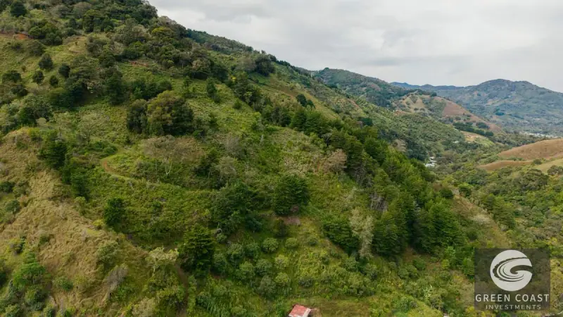 Expansive Dota Farm with Avocado Orchards, Fishing Ponds, and Scenic Views — view 55, Dota, Costa Rica