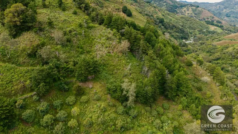 Expansive Dota Farm with Avocado Orchards, Fishing Ponds, and Scenic Views — view 56, Dota, Costa Rica