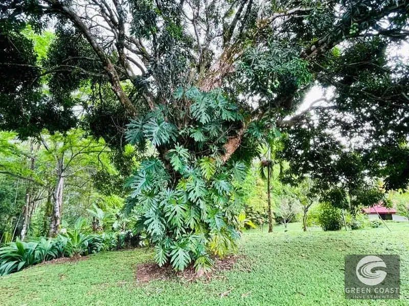 Spacious 8-Acre Ojochal Estate with Ocean Views, Guest House, and Endless Expansion Potential — view 10, Ojochal, Costa Rica