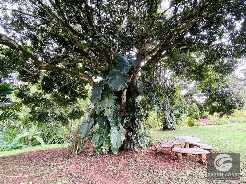 Spacious 8-Acre Ojochal Estate with Ocean Views, Guest House, and Endless Expansion Potential — view 13, Ojochal, Costa Rica