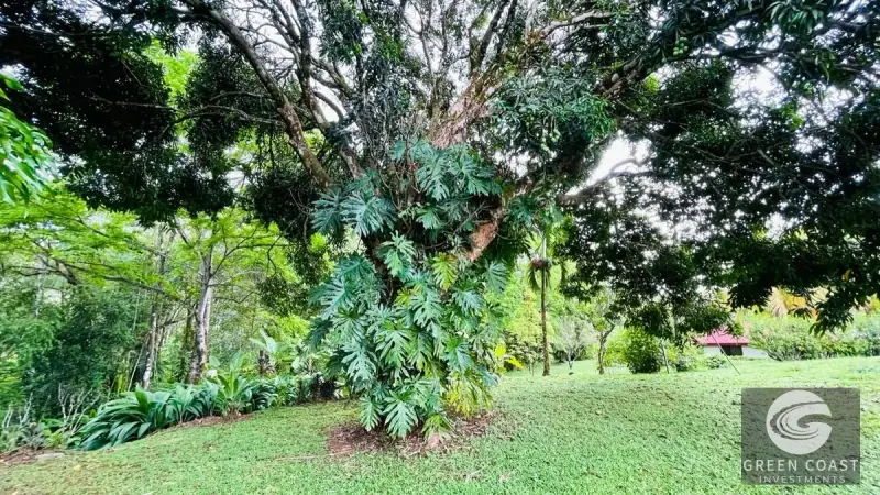 Spacious 8-Acre Ojochal Estate with Ocean Views, Guest House, and Endless Expansion Potential — view 38, Ojochal, Costa Rica