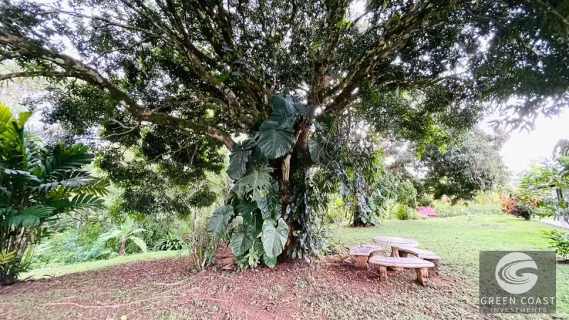 Spacious 8-Acre Ojochal Estate with Ocean Views, Guest House, and Endless Expansion Potential — view 41, Ojochal, Costa Rica