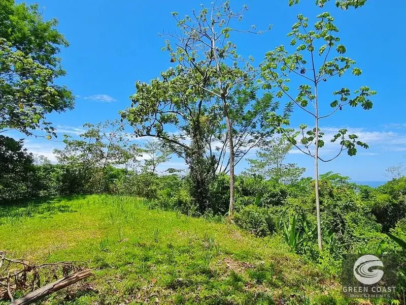 69-Acre Ocean-View Development Land Near Dominical with 10+ Ready Building Pads — view 11, Dominical, Costa Rica