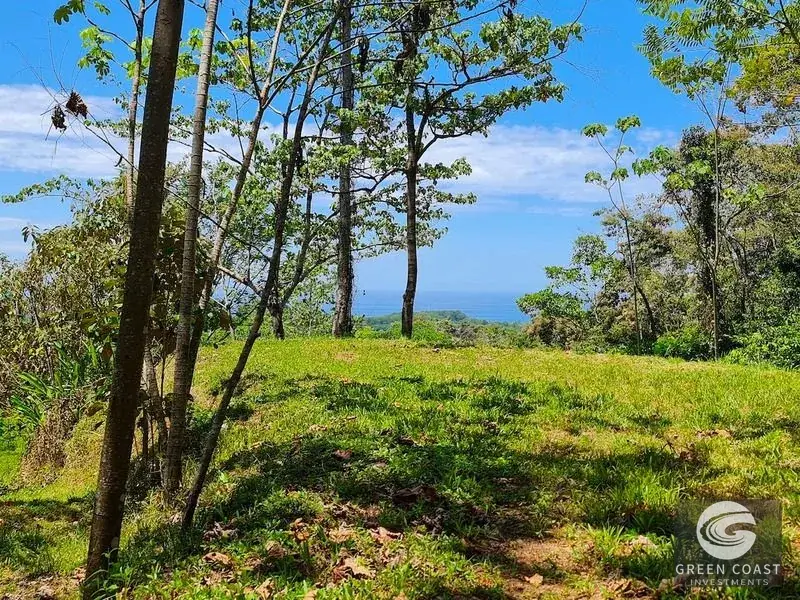 69-Acre Ocean-View Development Land Near Dominical with 10+ Ready Building Pads — view 12, Dominical, Costa Rica