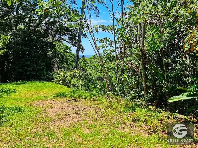 69-Acre Ocean-View Development Land Near Dominical with 10+ Ready Building Pads — view 13, Dominical, Costa Rica