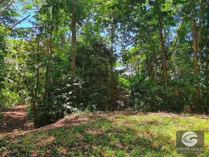 69-Acre Ocean-View Development Land Near Dominical with 10+ Ready Building Pads — view 15, Dominical, Costa Rica