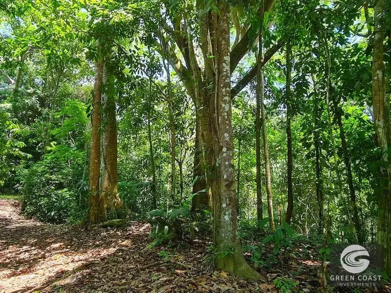 69-Acre Ocean-View Development Land Near Dominical with 10+ Ready Building Pads — view 16, Dominical, Costa Rica