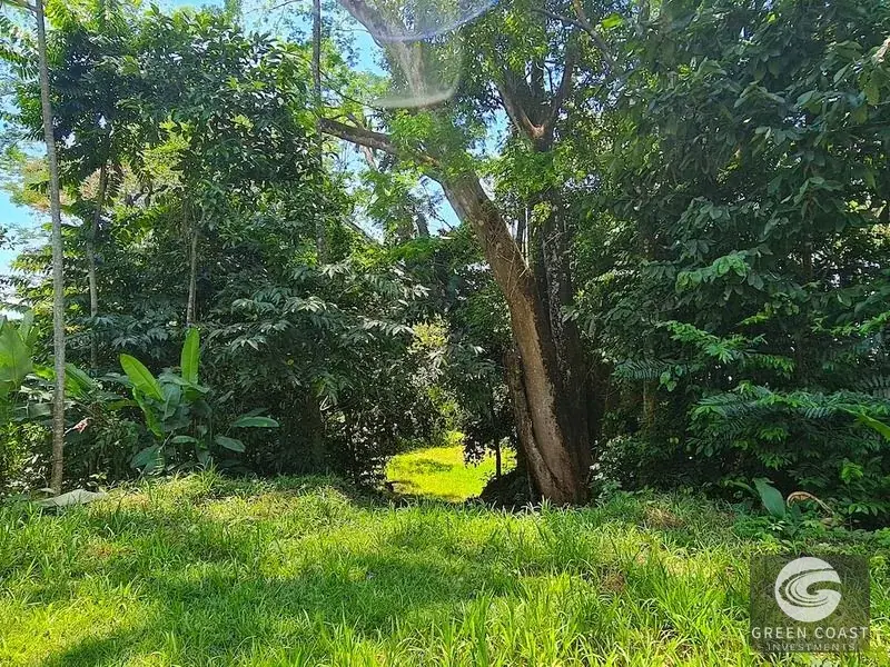 69-Acre Ocean-View Development Land Near Dominical with 10+ Ready Building Pads — view 18, Dominical, Costa Rica