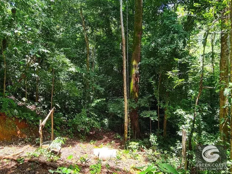 69-Acre Ocean-View Development Land Near Dominical with 10+ Ready Building Pads — view 20, Dominical, Costa Rica