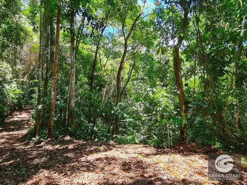 69-Acre Ocean-View Development Land Near Dominical with 10+ Ready Building Pads — view 22, Dominical, Costa Rica