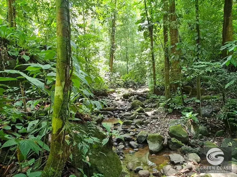 69-Acre Ocean-View Development Land Near Dominical with 10+ Ready Building Pads — view 25, Dominical, Costa Rica