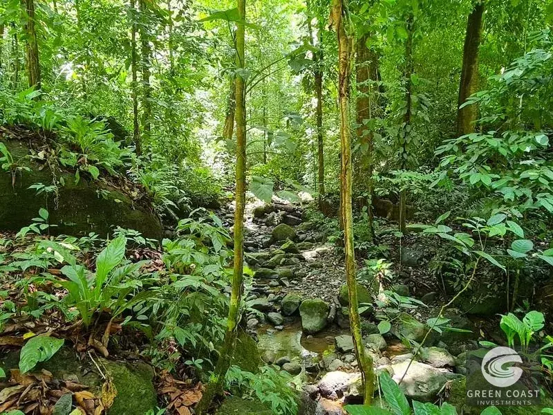 69-Acre Ocean-View Development Land Near Dominical with 10+ Ready Building Pads — view 26, Dominical, Costa Rica