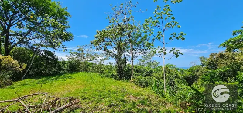 69-Acre Ocean-View Development Land Near Dominical with 10+ Ready Building Pads — view 41, Dominical, Costa Rica