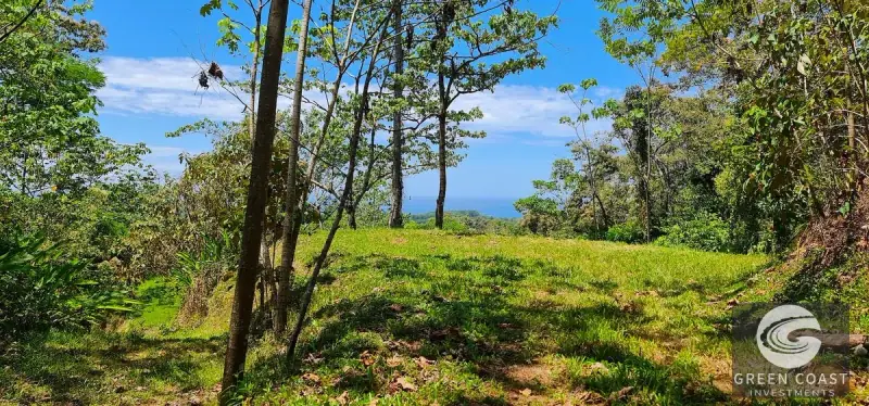 69-Acre Ocean-View Development Land Near Dominical with 10+ Ready Building Pads — view 42, Dominical, Costa Rica