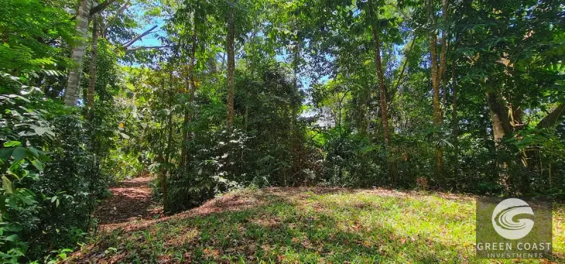 69-Acre Ocean-View Development Land Near Dominical with 10+ Ready Building Pads — view 45, Dominical, Costa Rica