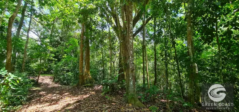 69-Acre Ocean-View Development Land Near Dominical with 10+ Ready Building Pads — view 46, Dominical, Costa Rica