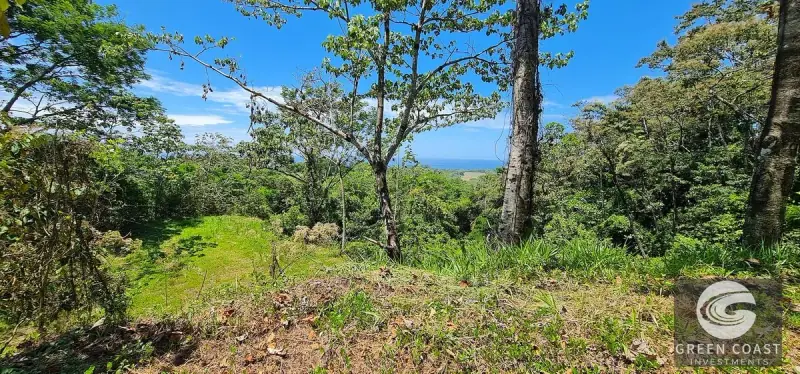 69-Acre Ocean-View Development Land Near Dominical with 10+ Ready Building Pads — view 47, Dominical, Costa Rica