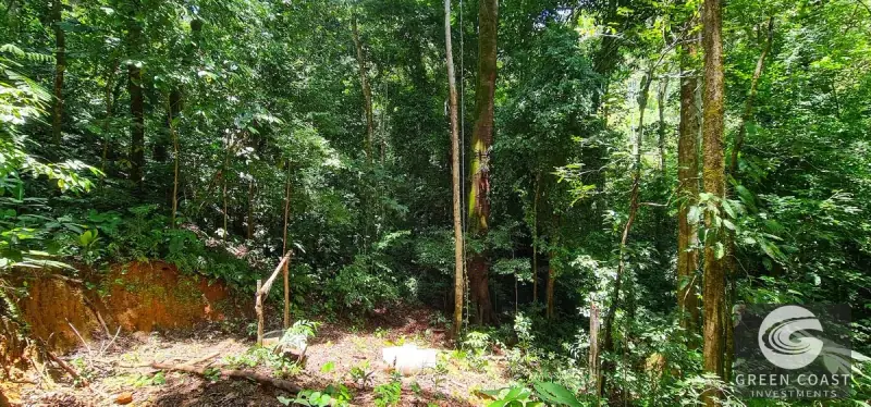 69-Acre Ocean-View Development Land Near Dominical with 10+ Ready Building Pads — view 50, Dominical, Costa Rica