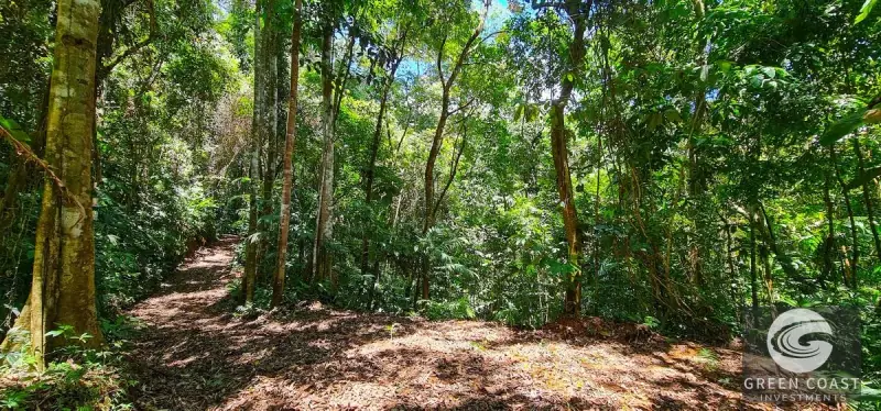 69-Acre Ocean-View Development Land Near Dominical with 10+ Ready Building Pads — view 52, Dominical, Costa Rica