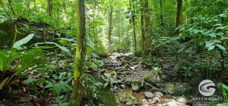 69-Acre Ocean-View Development Land Near Dominical with 10+ Ready Building Pads — view 55, Dominical, Costa Rica