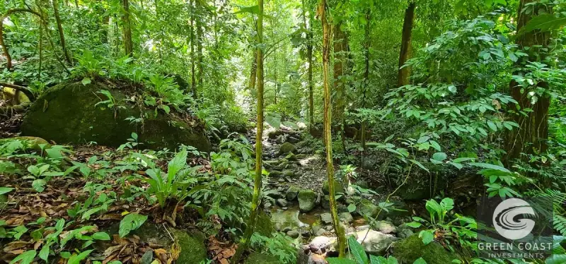 69-Acre Ocean-View Development Land Near Dominical with 10+ Ready Building Pads — view 56, Dominical, Costa Rica