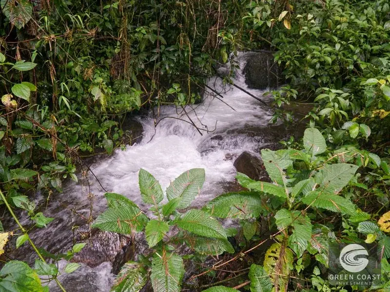 11-Hectare Mountain Paradise Bordering Nature Reserve in San Gerardo de Rivas — view 2, Rivas, Perez Zeledon, Costa Rica