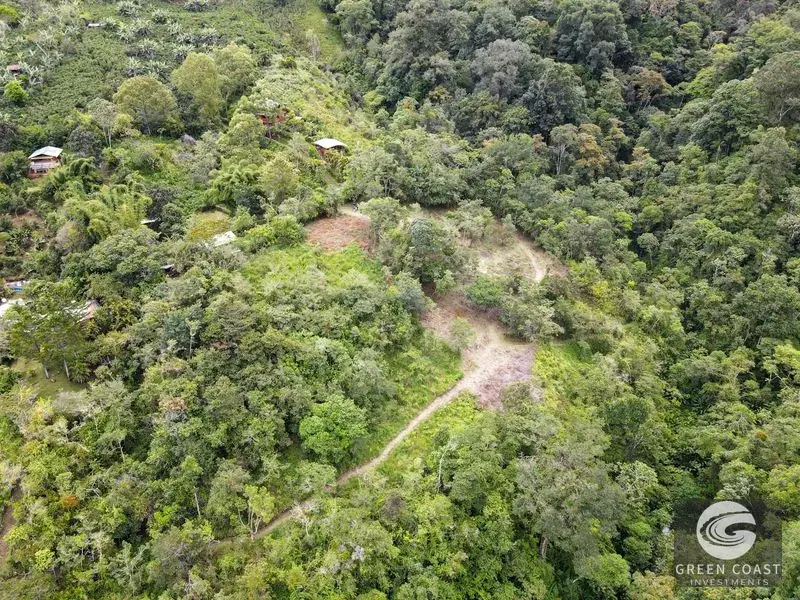 11-Hectare Mountain Paradise Bordering Nature Reserve in San Gerardo de Rivas — view 5, Rivas, Perez Zeledon, Costa Rica