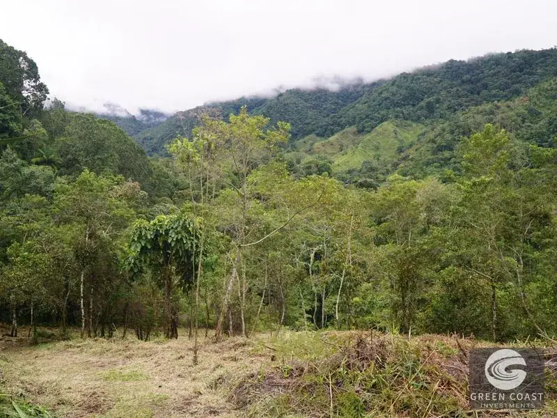 11-Hectare Mountain Paradise Bordering Nature Reserve in San Gerardo de Rivas — view 10, Rivas, Perez Zeledon, Costa Rica