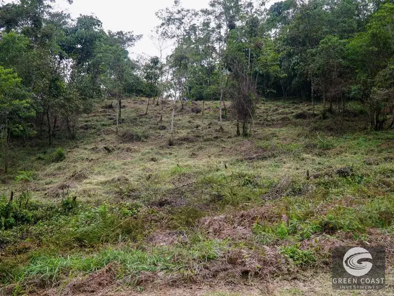 11-Hectare Mountain Paradise Bordering Nature Reserve in San Gerardo de Rivas — view 11, Rivas, Perez Zeledon, Costa Rica
